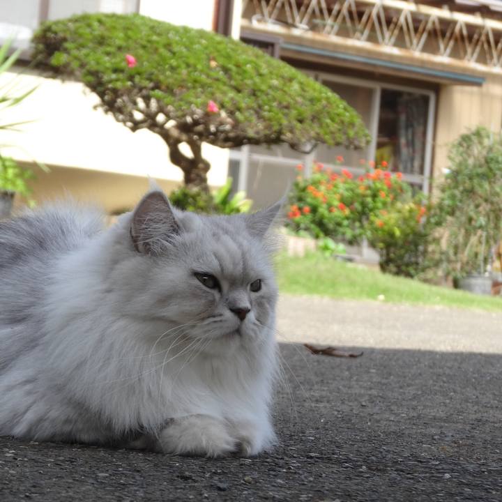 8695a9bd 97e6 4ca9 9ba2 a80ca4426dc3