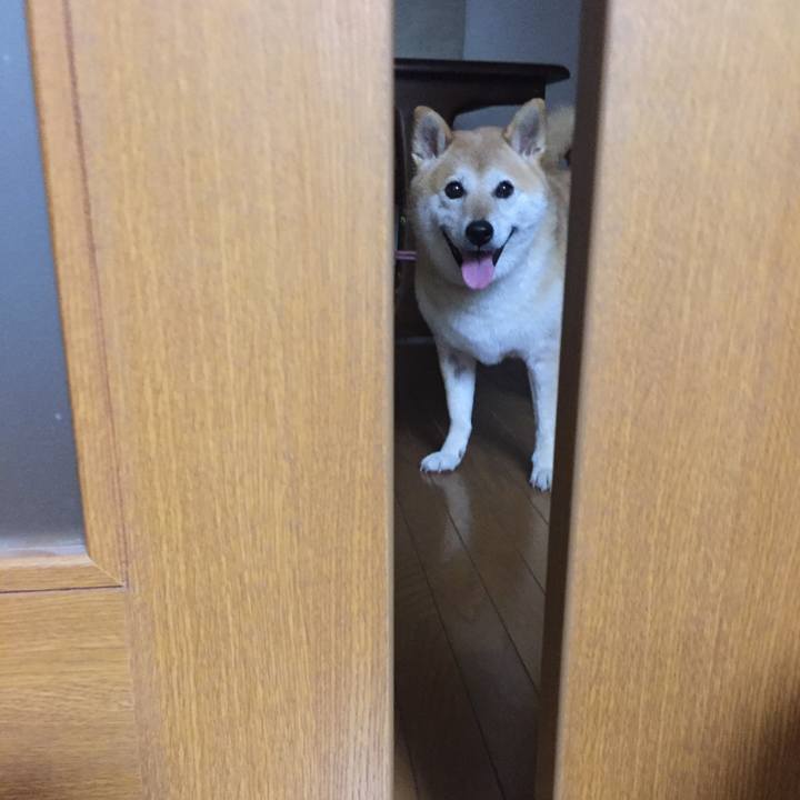 8696366f e969 4b07 a7f4 edad38420aea