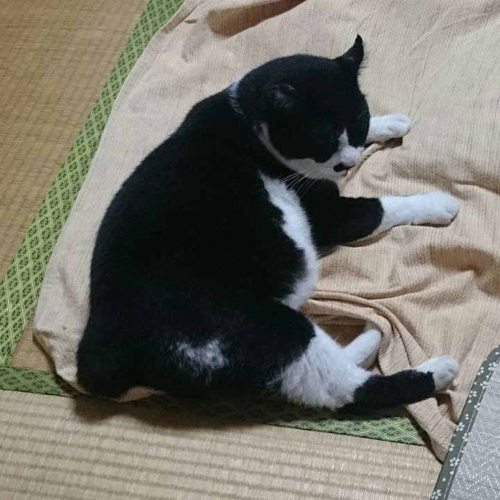 86967758 41a8 4bae 840f 64c0fb6d2eda