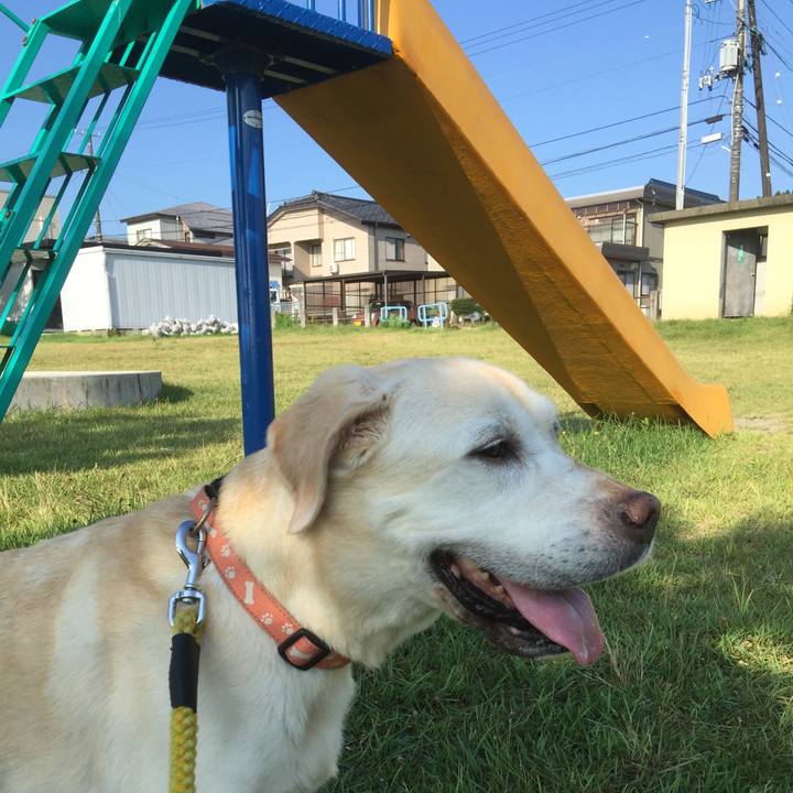 86969c44 4b6c 43e5 96cd 3c50121172c2