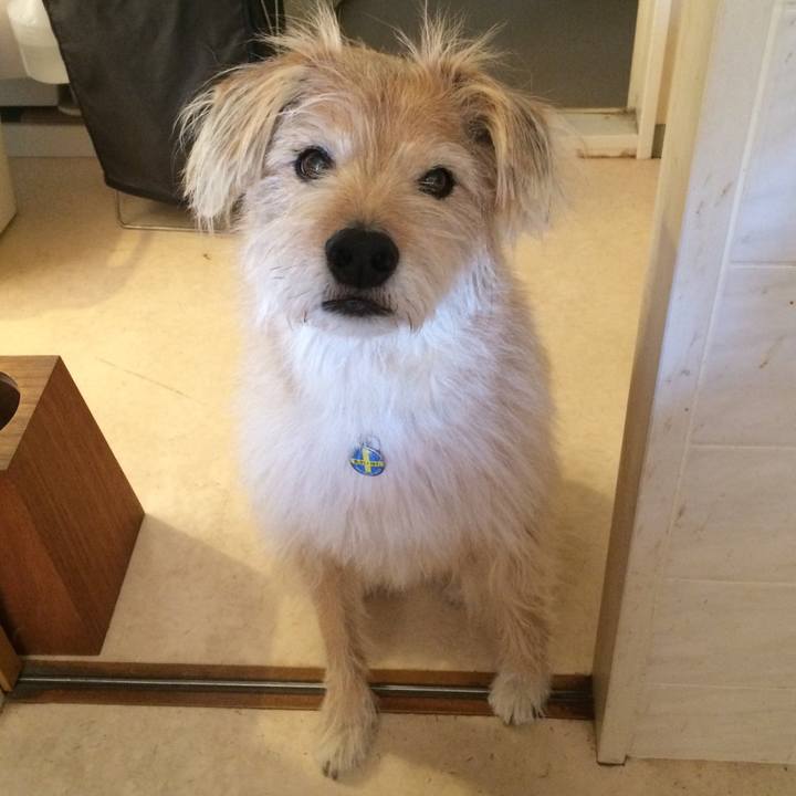 86971f67 b119 429c a4a5 51bbeadaff5e