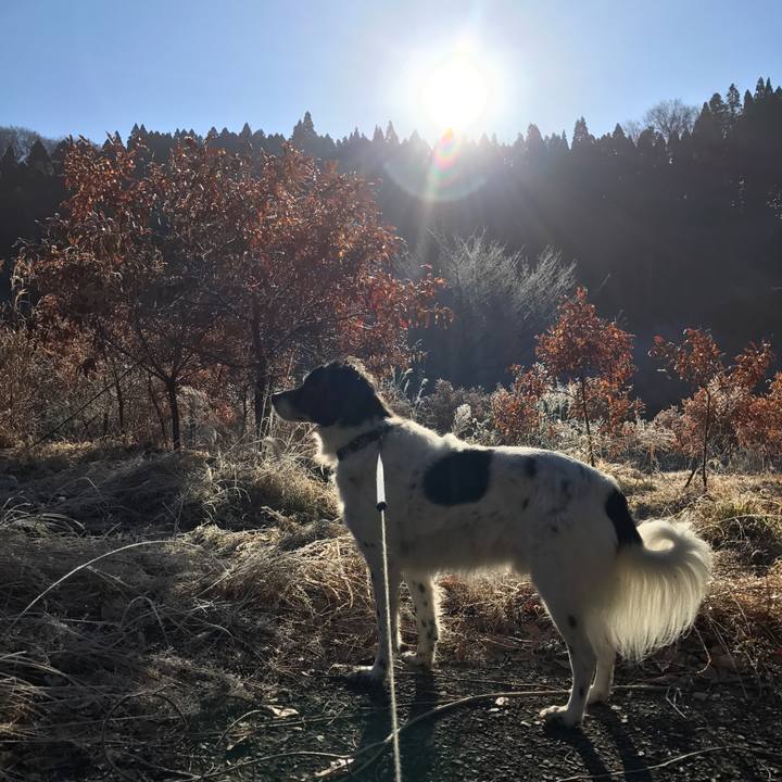 86975bfa a719 4542 82b9 53023b95c46e