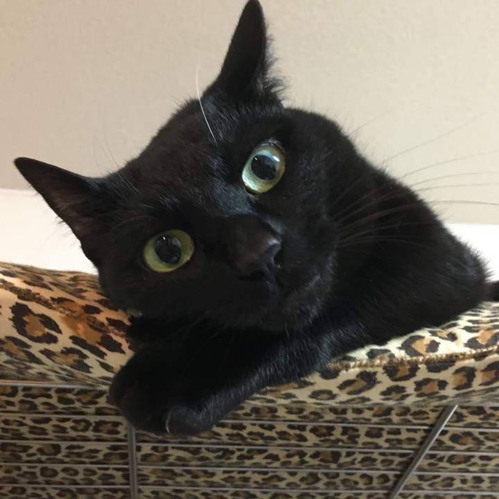 8697d57a 5314 4a48 bdc4 c2f98e59c72c