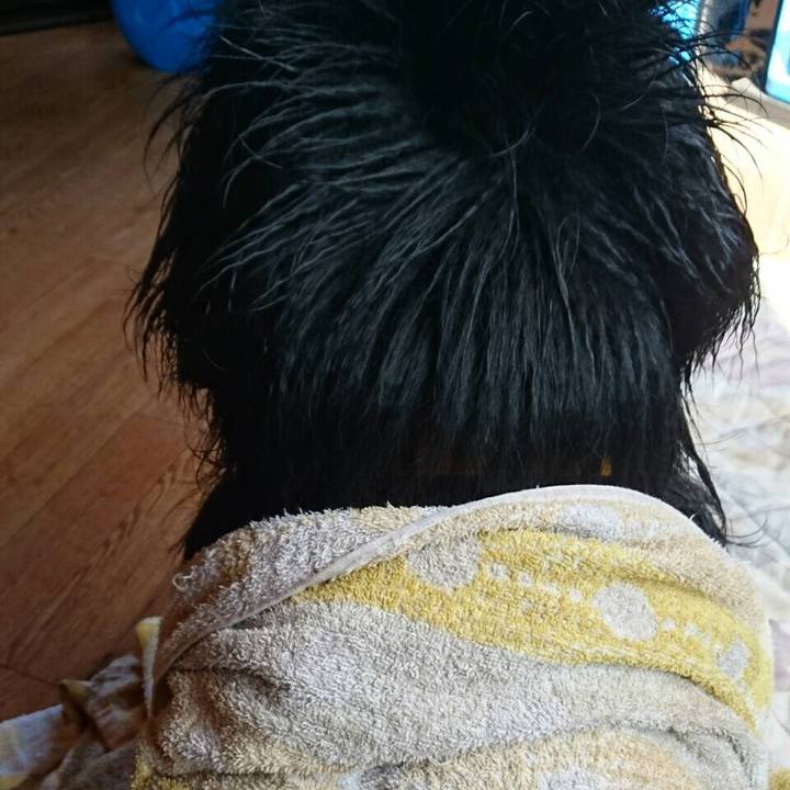 86984ac0 b613 4b19 a8b4 996af964706d