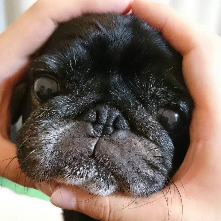 86993857 6b99 4380 b1a7 fbfa8422a754