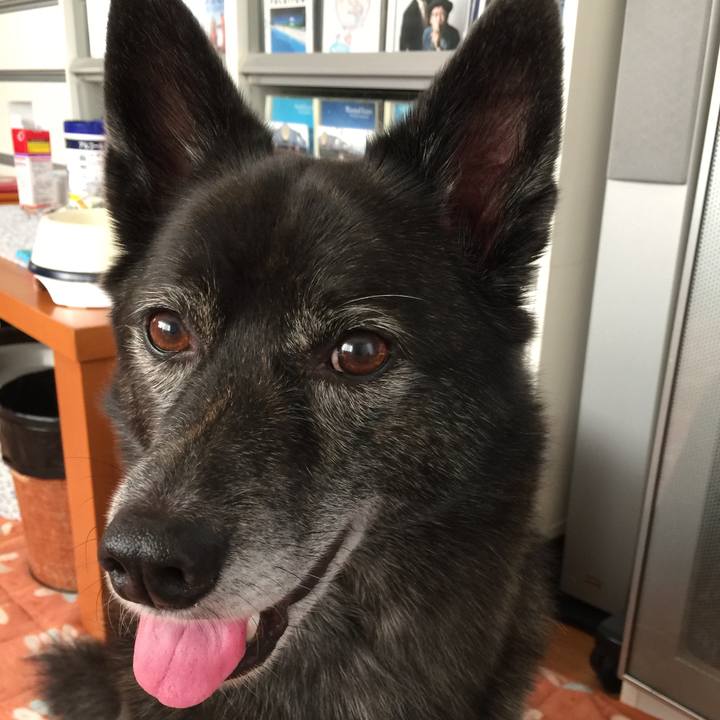 86998542 6356 44c9 acdd 6c7051006cd1