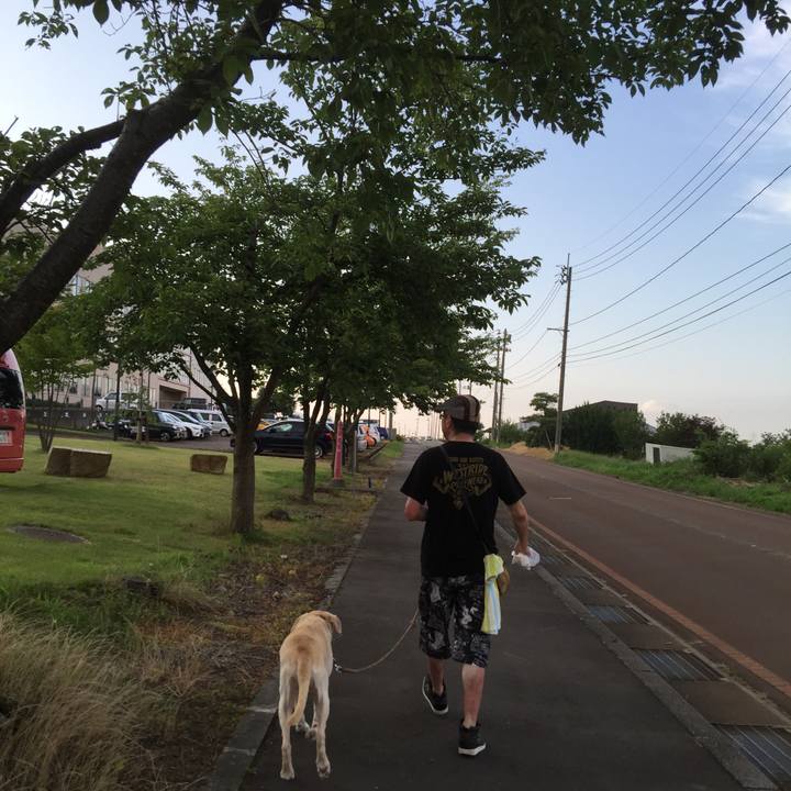 8699d8d1 ac80 4f56 b9df 69af7fe77621