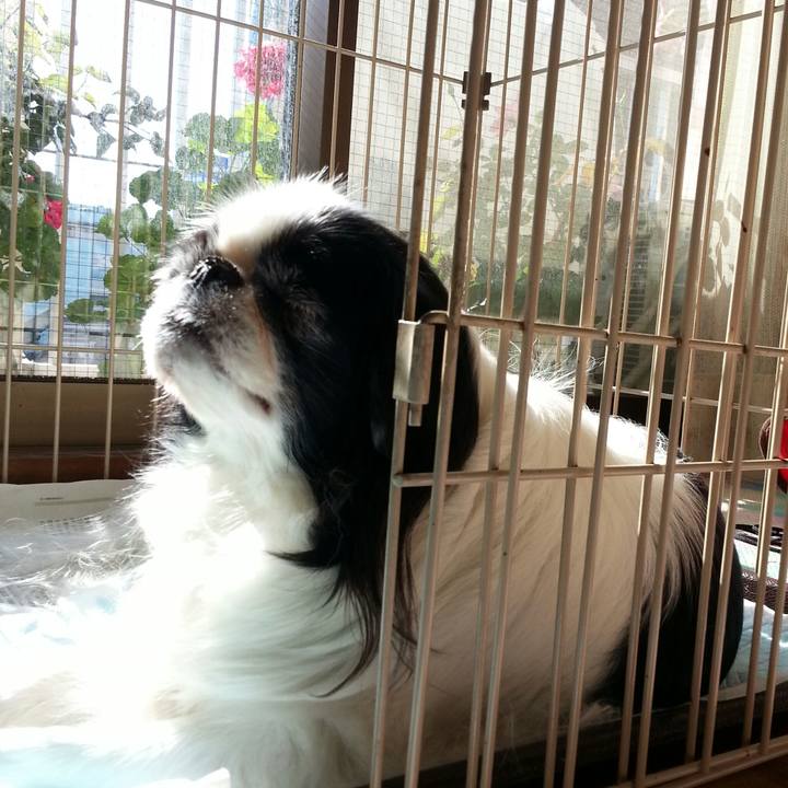 869aa842 a60c 4780 a5d0 d03e20b62467