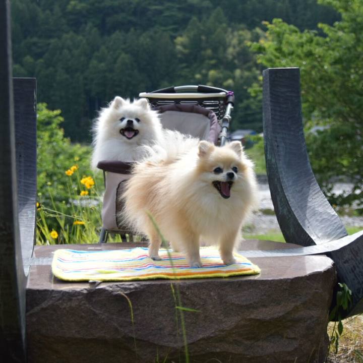 869ba6de cf54 4a5f b733 972fc7c955da