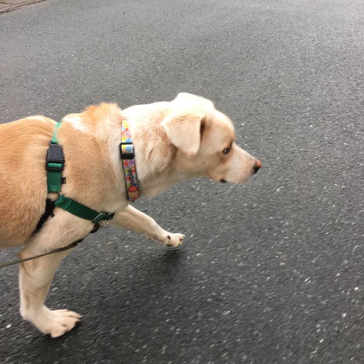 869bd01b 9775 4ab2 85b3 7b5cd4e4815b