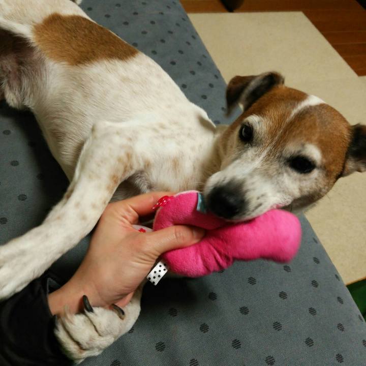 869c230c ab80 4434 9b0c 1d25b668ffac