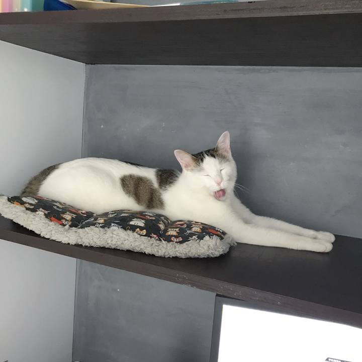 869c5a95 436b 40b2 a5b8 01f65b85a7dc