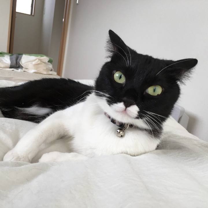 869ce85e 68b4 4583 9819 0936ae66abb6