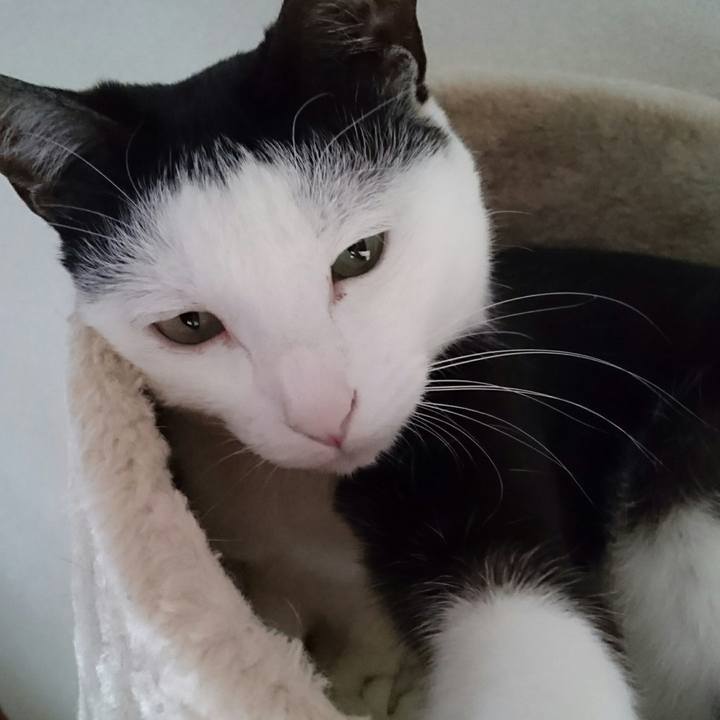 869ceef7 e501 4d68 b29e dd01bf952024