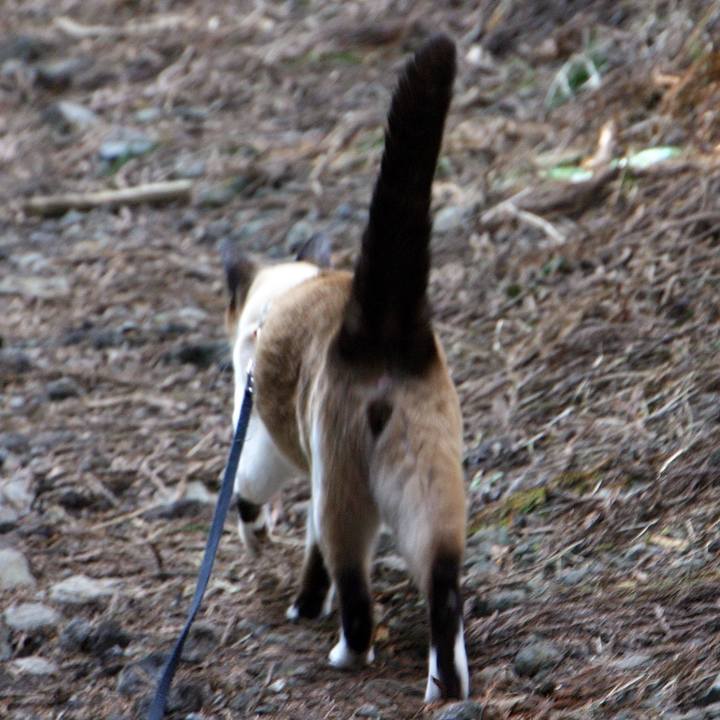 869dad40 6a8b 4071 88f0 57d17f639402