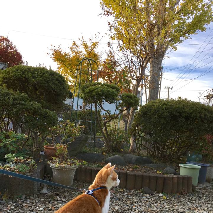 869e3593 3e5b 4bf8 90ad 28804bb0a267