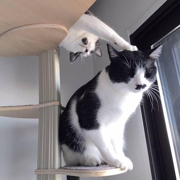 869e75d5 20db 4966 831b 1437acbcbb7b