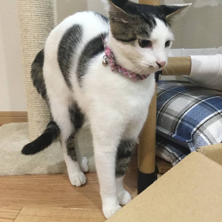 869ed9b1 21f6 4c72 8bc1 d9e193b0c717