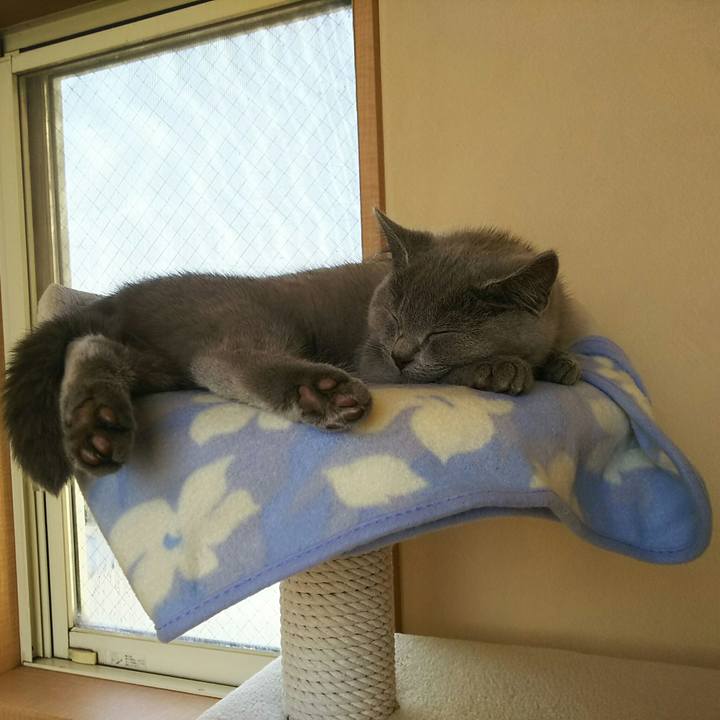 869f0bea bfd2 46c8 a2c4 6ec849c674e9