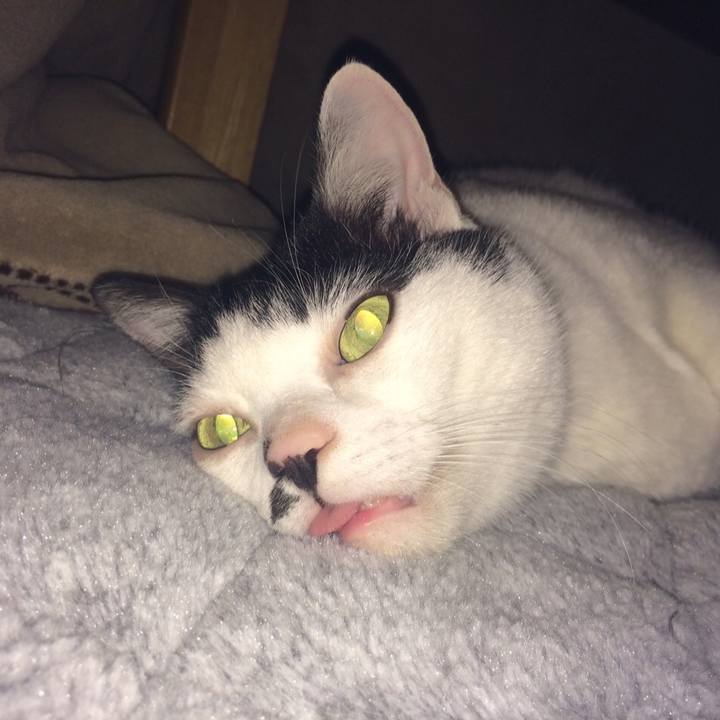 869ff7bc 3642 4436 a1e8 a200fe3a4683