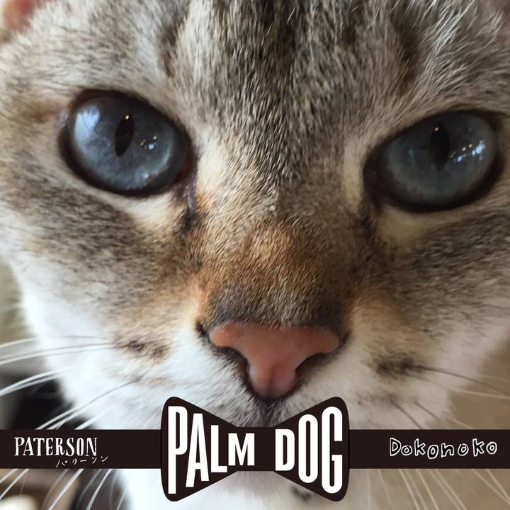 86a00ed0 a41d 413f 81b2 901731b4e6e8