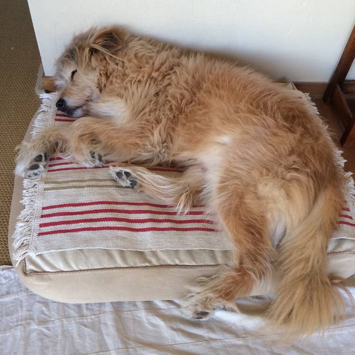 86a05ad6 35a3 4a1b a071 0e518b0f5144