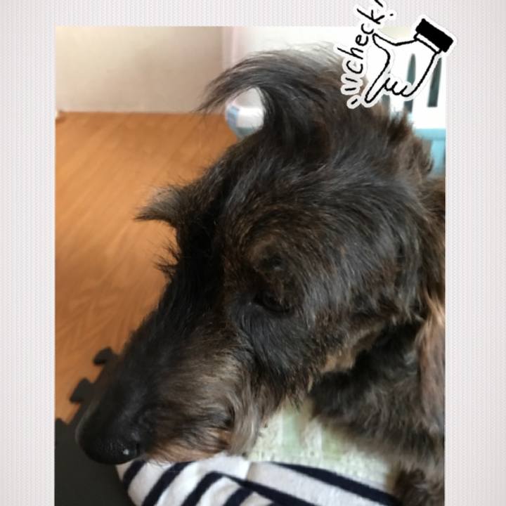 86a0a926 8ae0 4311 8aba 6f27a35fcf8c