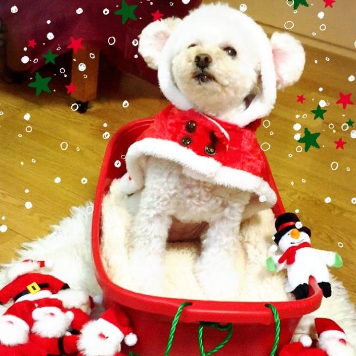 86a10225 e157 480b be55 78e0064d533f