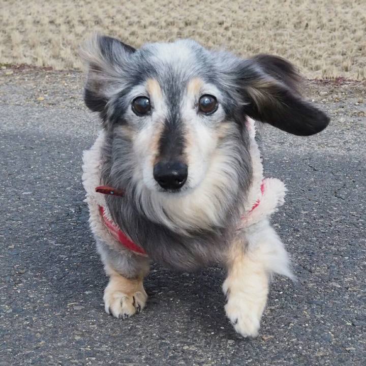 86a1bd33 0c82 4522 9466 8fc7f9855f5d