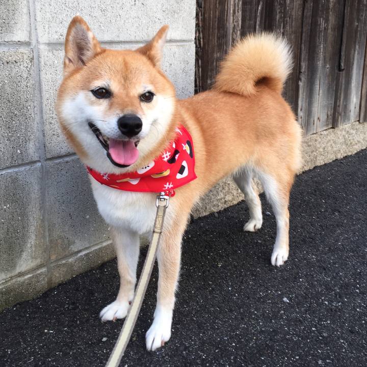 86a23d63 3b8a 47f3 9f03 f72cbbca079e