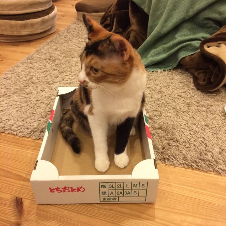 86a366bd c66e 4882 8d2a 07e06d1a42b2