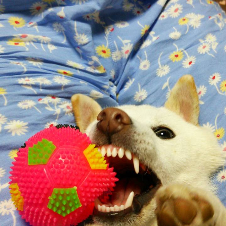 86a3c65e 2c5f 41ac 87f4 27b44f826309