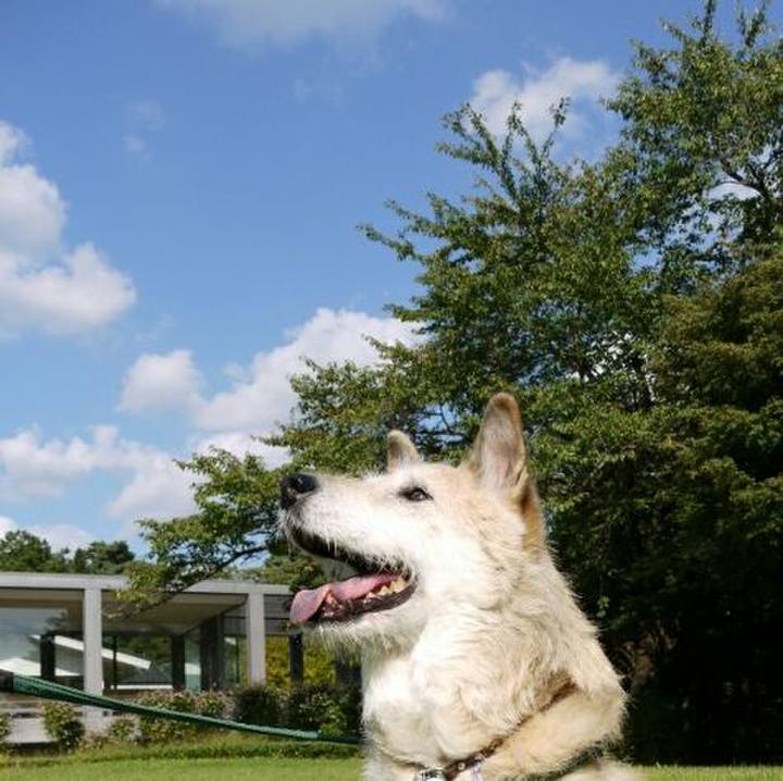 86a42ca2 2a48 4fbf 9583 7e707898b009