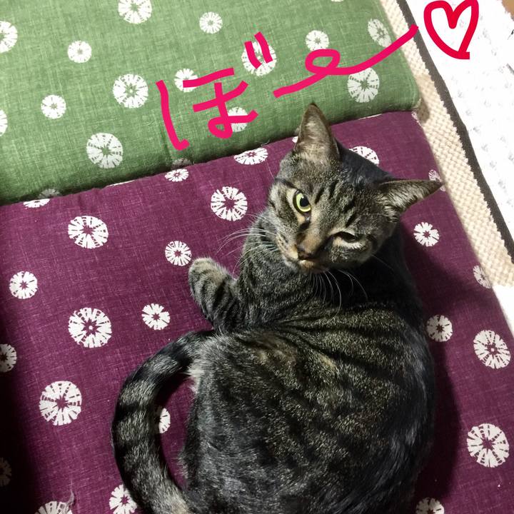 86a4ec18 6555 4113 81fa a91b0aa21e33