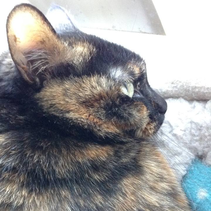 86a668f2 bd45 488e b27d c53978528c34