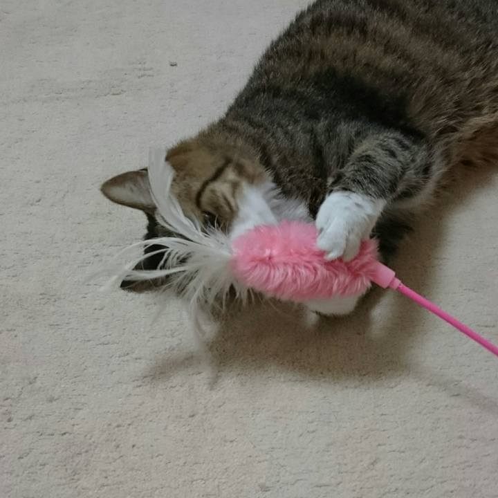 86a6b195 aa5b 4ce3 a9e6 d03e54e5618a