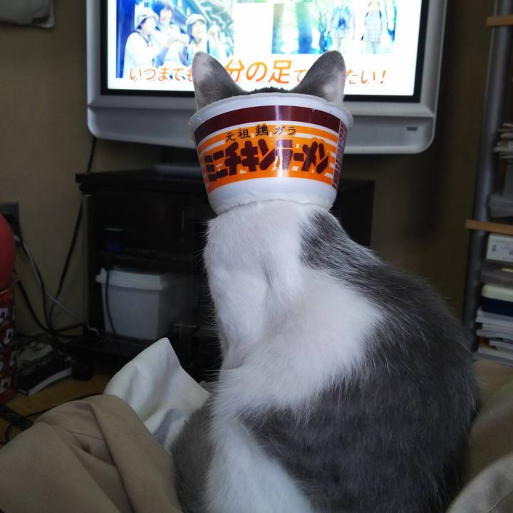 86a7552e 7a4c 4ce1 932c 05c72a818a78