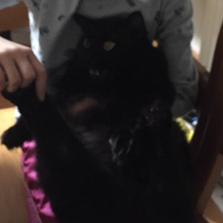 86a7e603 f6f9 4c6f ba0a 546d2f7d25d3