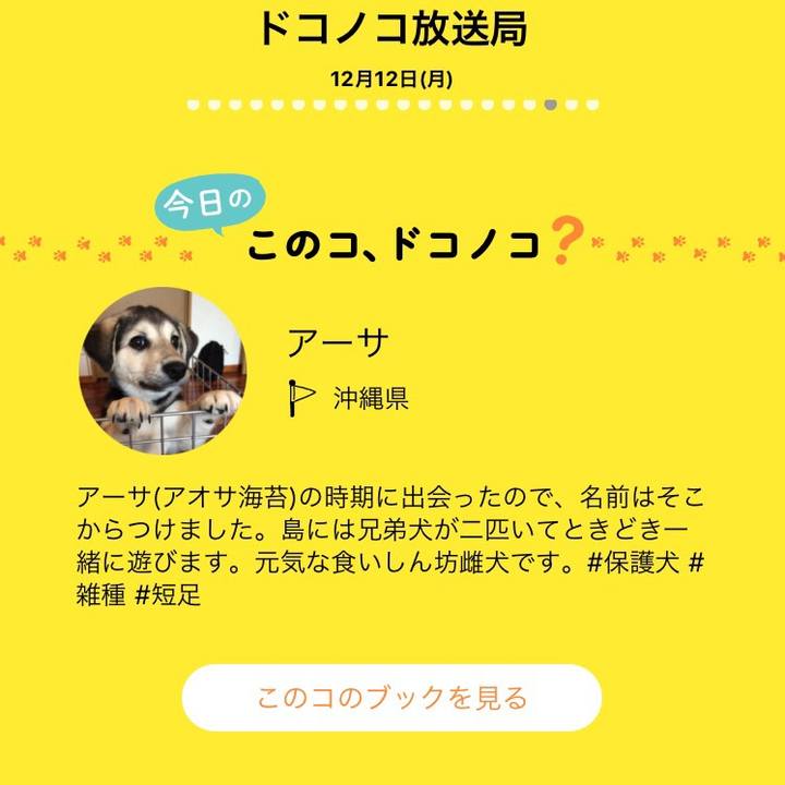 86a8d74f 7221 45bc ae3e 4e75f19e230b