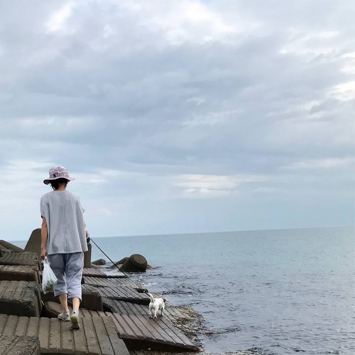 86a946e6 33e0 49a1 96f3 be5191237647