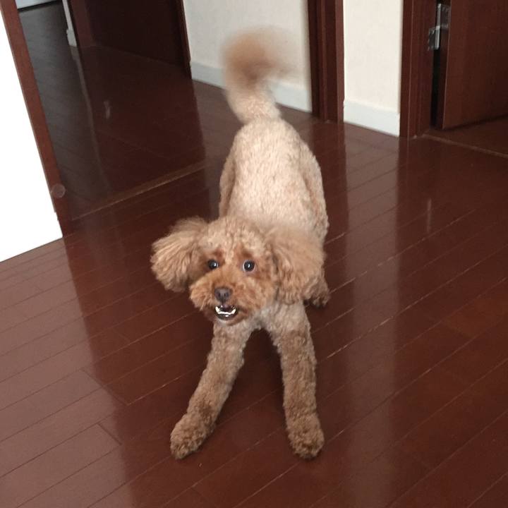 86a97696 3b37 46d7 bec5 f5b518108956