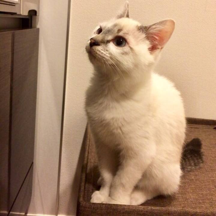 86a98cb8 c110 4e29 87d8 d34f41598445