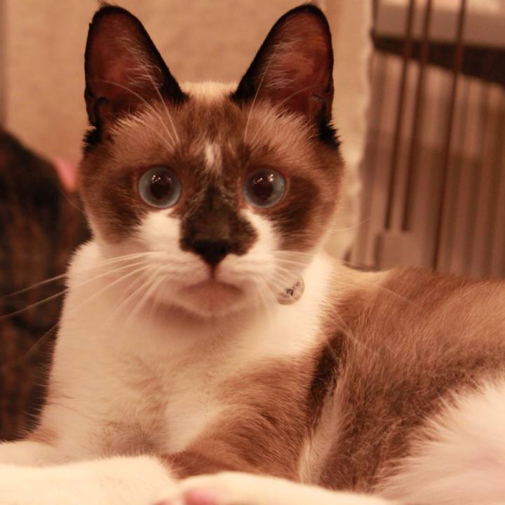 86a9a439 347f 4035 b50d 183266e3f810