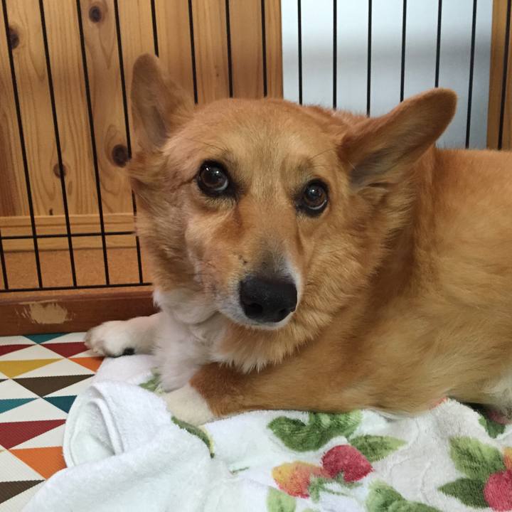 86a9ae14 cb5d 439a 9308 21cb224f3f90