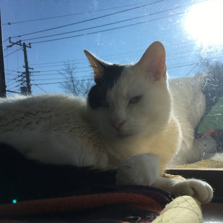 86aa29db 0927 450b a3ee 4f6a5f2c48ab