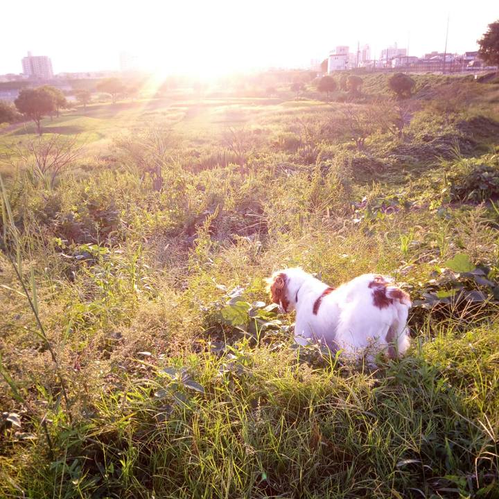 86aa9361 ecab 4d19 a75d 569e97ae2989