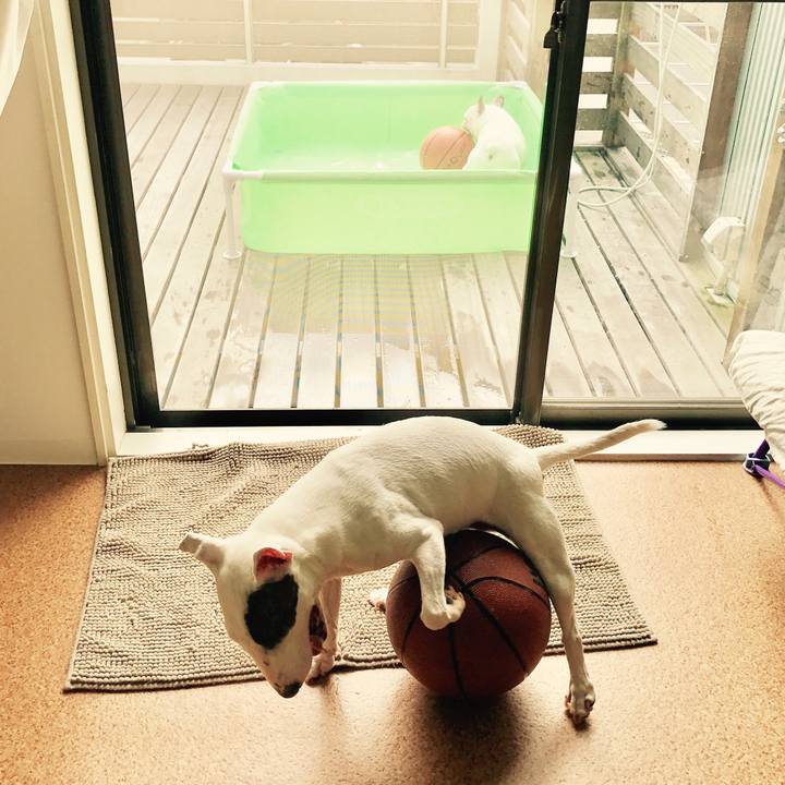 86ab0028 9e8e 4f3c bc86 d8976ad9f0d3