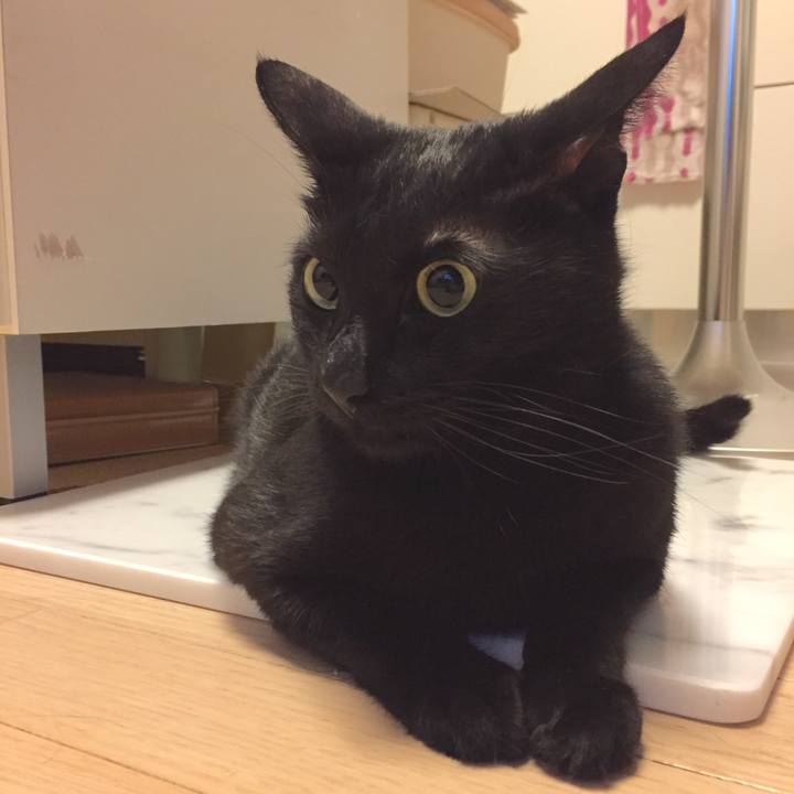 86ab8b81 2326 4ee4 8609 d2bef858f9fc