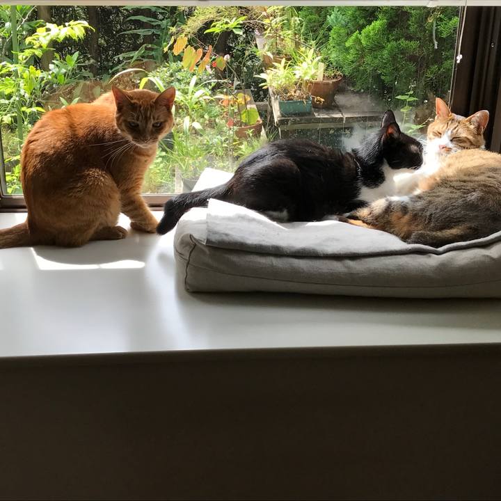 86abdb27 45d1 47ea 91f6 a13258d5c7d9