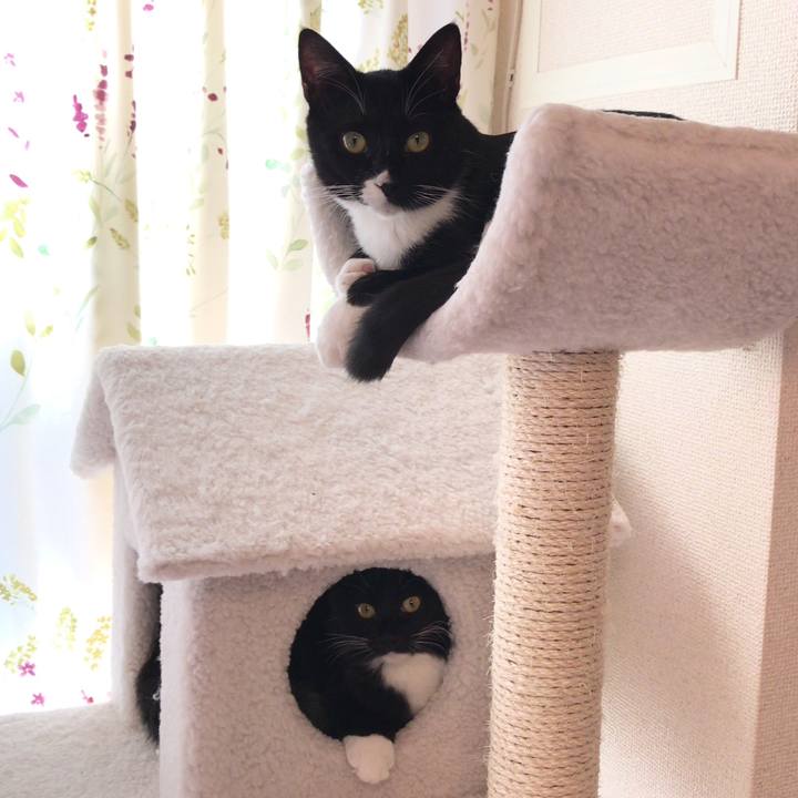 86abe622 61fa 4823 b3d9 68e6be8a3a6a